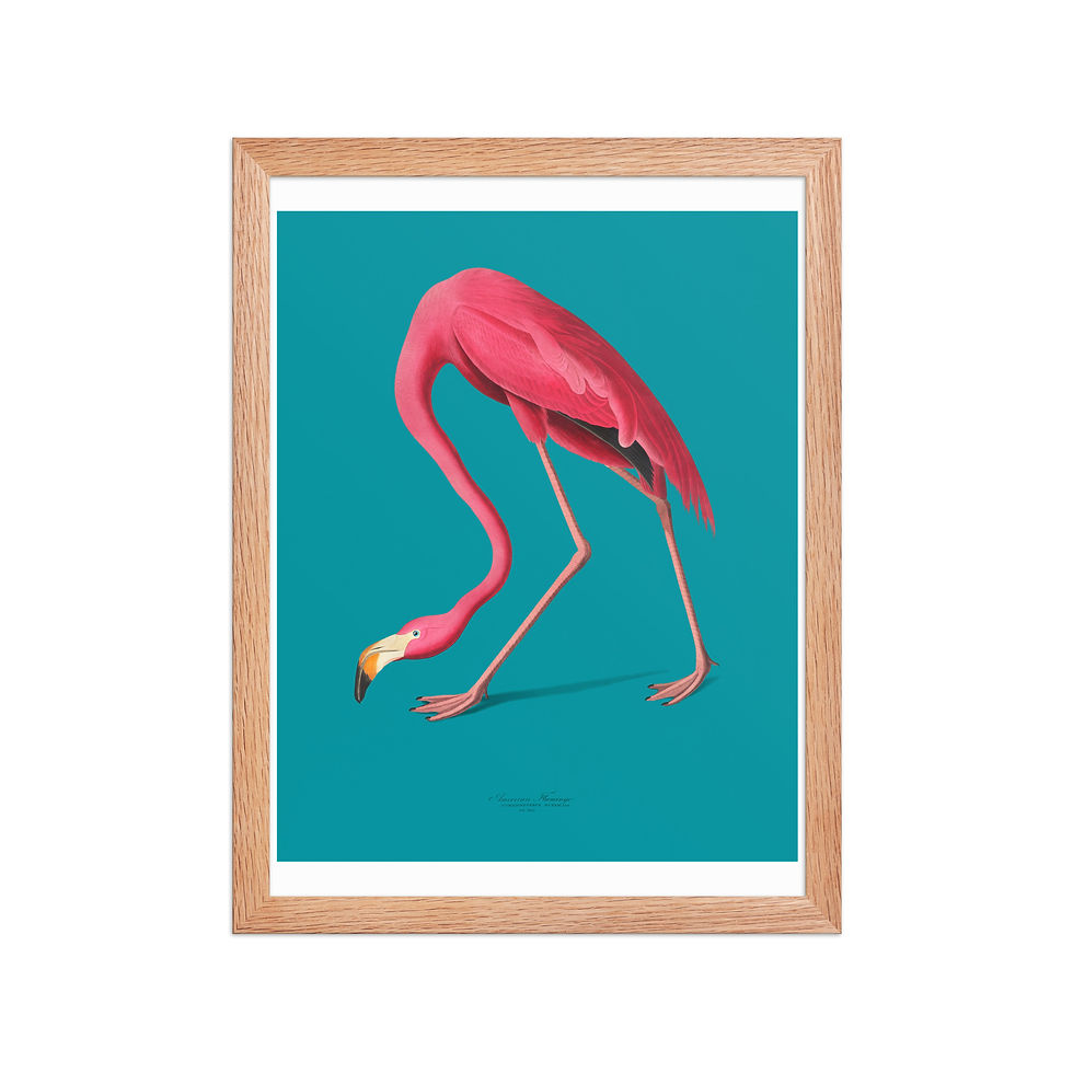 Thumbnail: Vintage Audubon Flamingo Art Print | Chic Coastal Wall Decor
