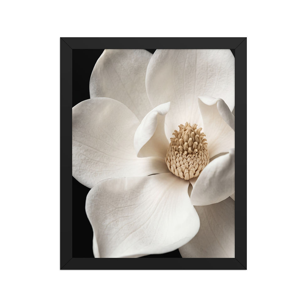 Thumbnail: Magnolia Bloom — Floral Close-Up (Framed)