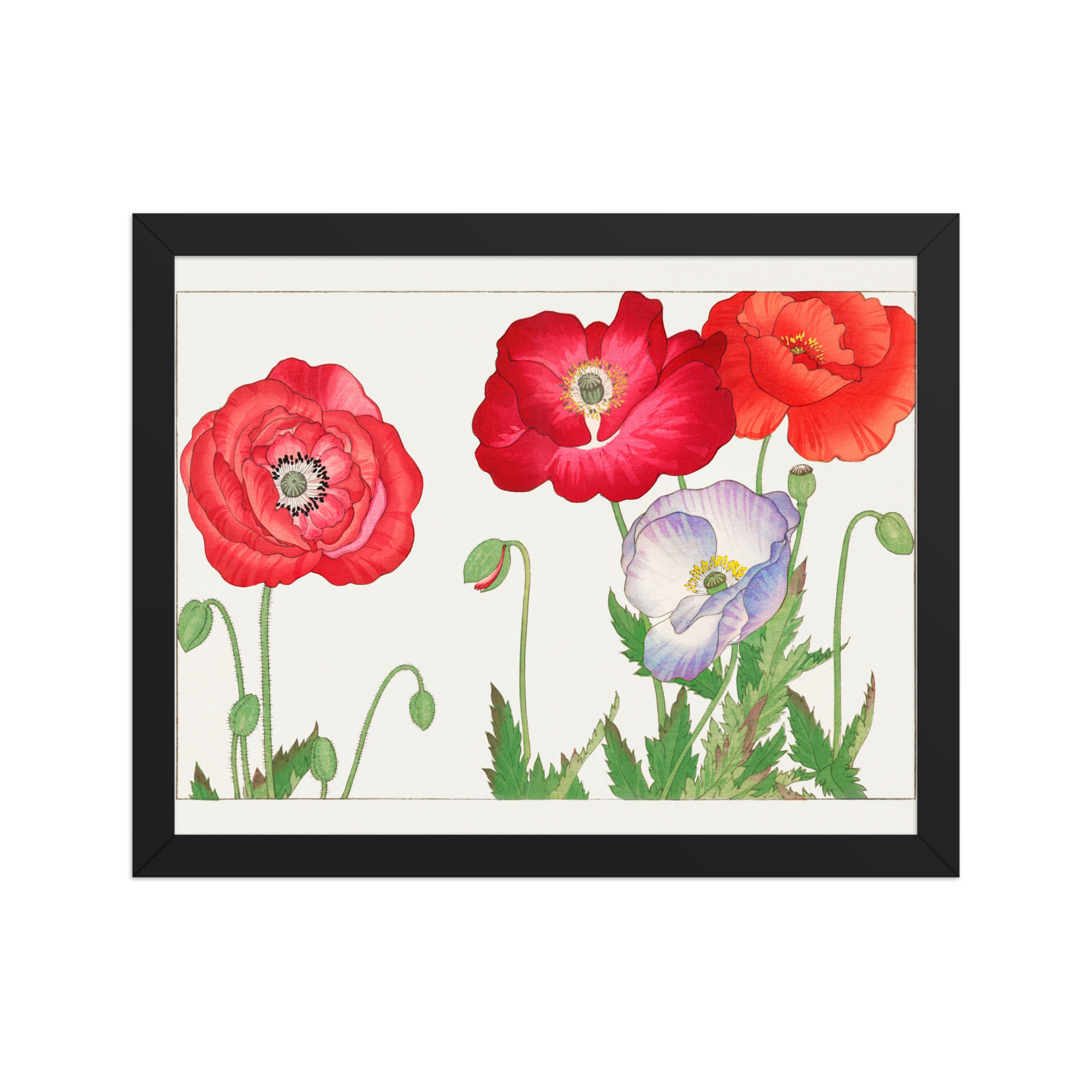 Vintage Poppy Flower ukiyo-e Style Framed Wall Art