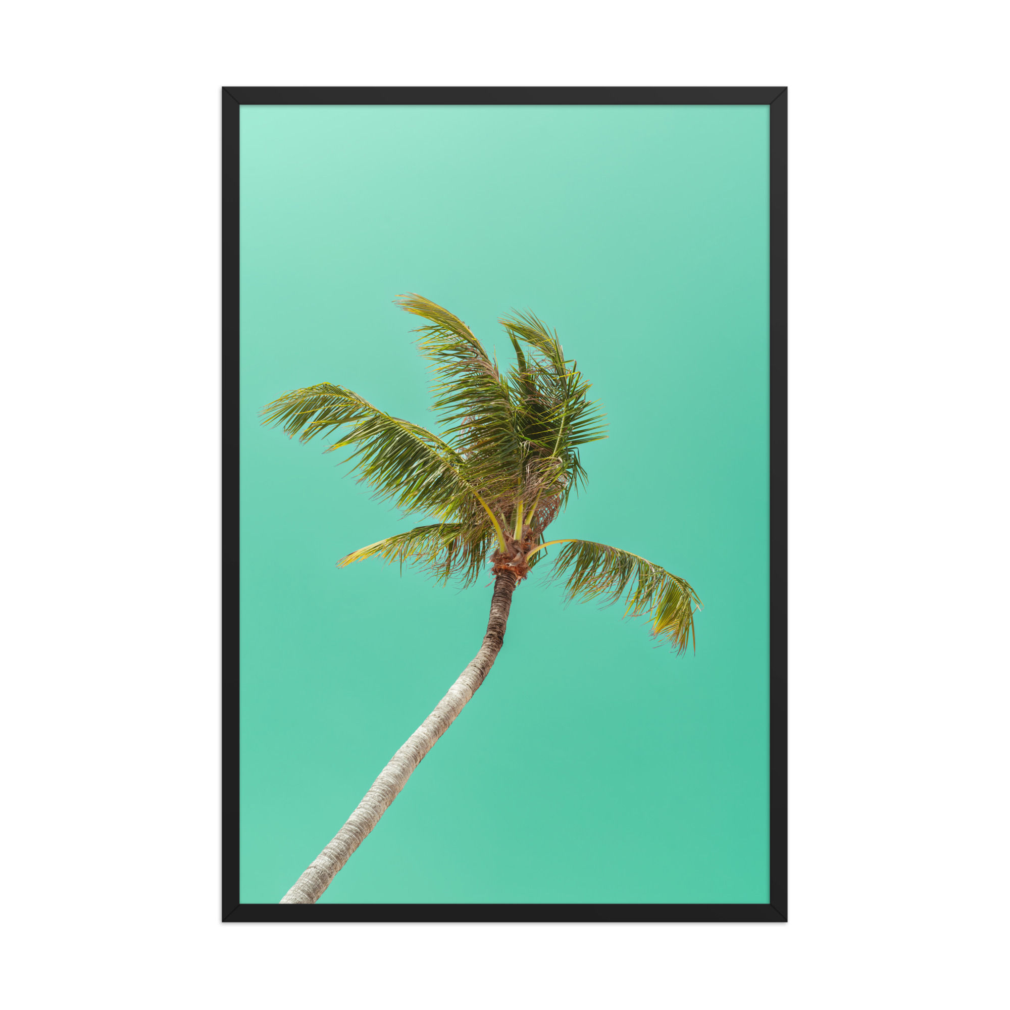 Tropical Palm Tree Turquoise Sky Photography Framed Wall Art