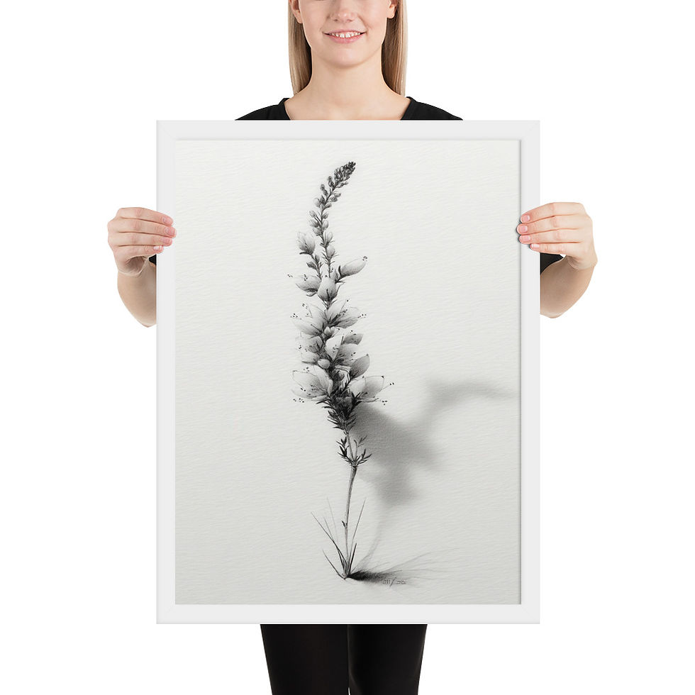 Thumbnail: Tranquil Nature Black and White Illustration - Framed