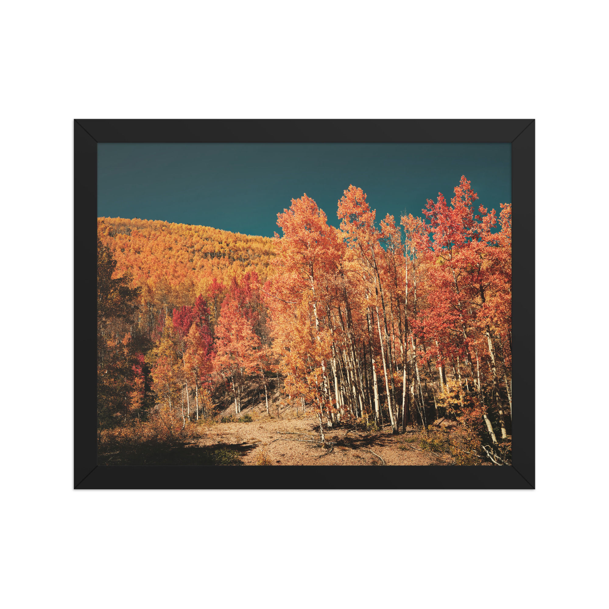 Vibrant Aspens Framed Wall Art for Autumn Warmth