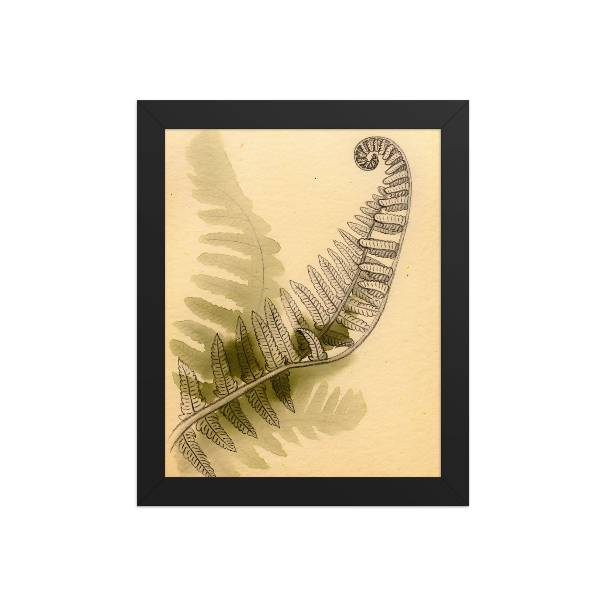 Charcoal Fern Frond Art Print