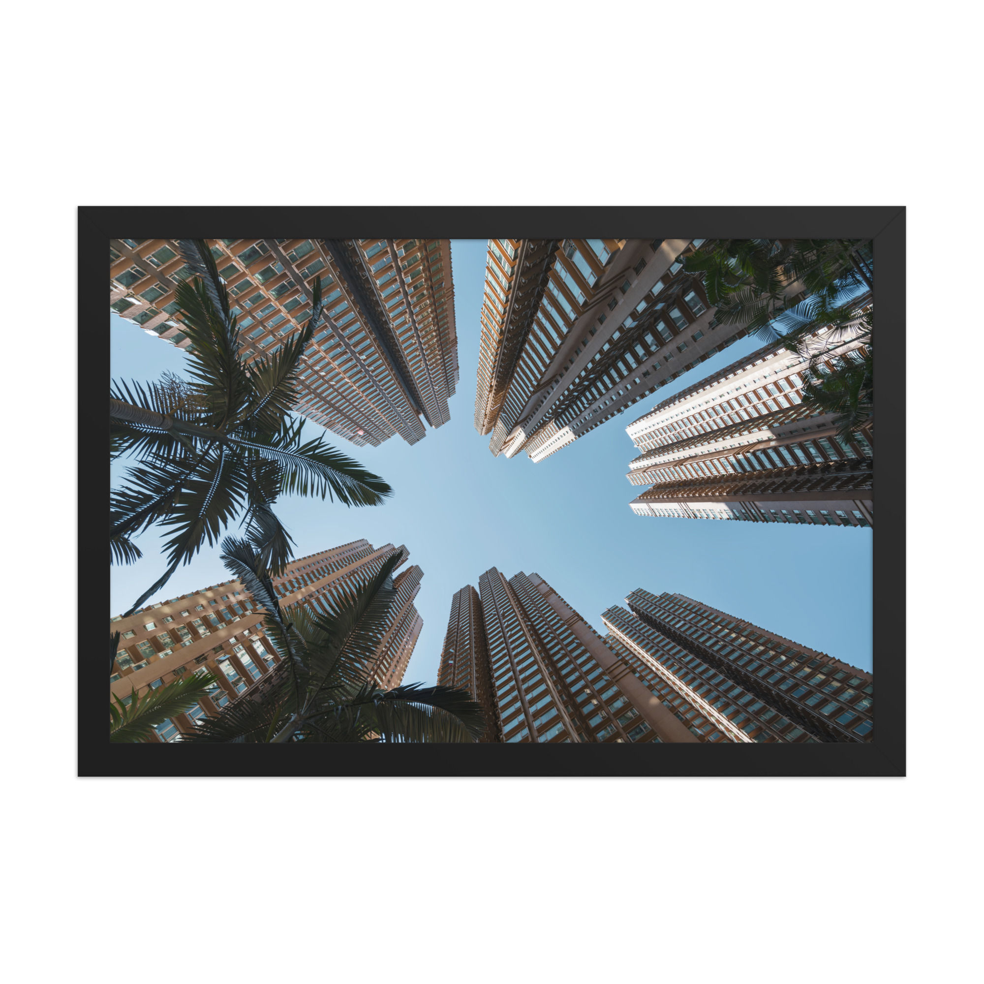 Urban Skyline Palms Print | Modern City Architecture Photography Wall Art