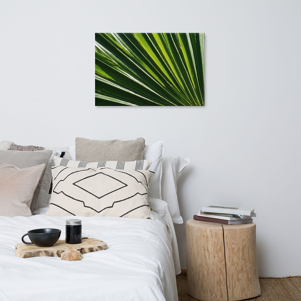Thumbnail: Palm Frond Fan Canvas Print – Tropical Botanical Close-Up