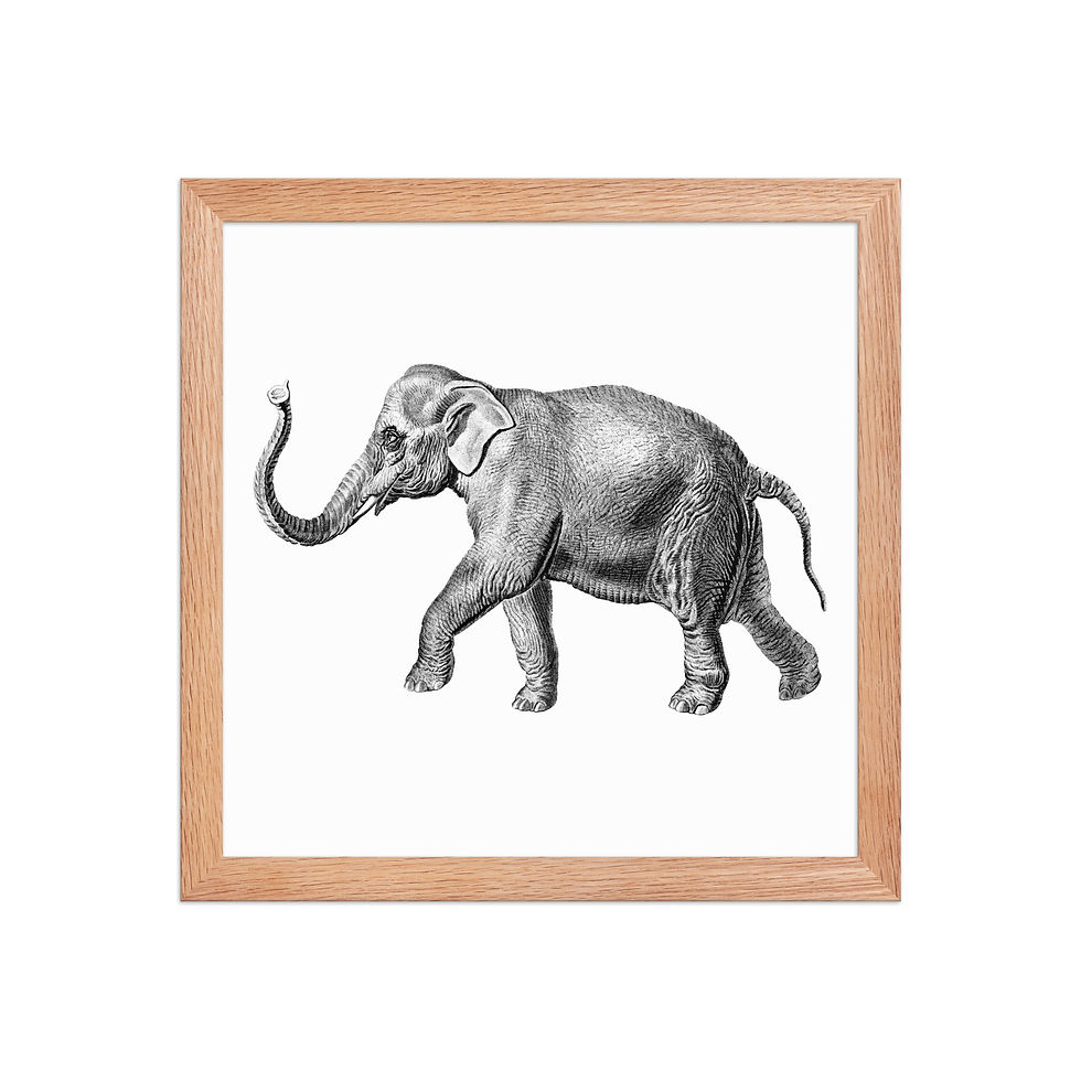 Thumbnail: Elephant | Framed Wildlife Art for Living Rooms