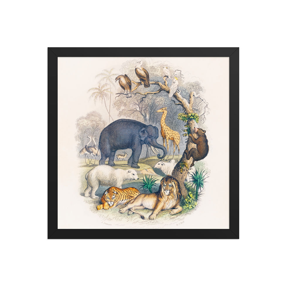 Thumbnail: Framed Wildlife Art for Living Rooms