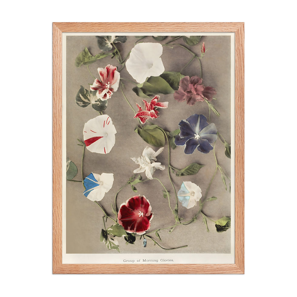 Thumbnail: Classic Vintage Japanese Art Print - Framed Decor