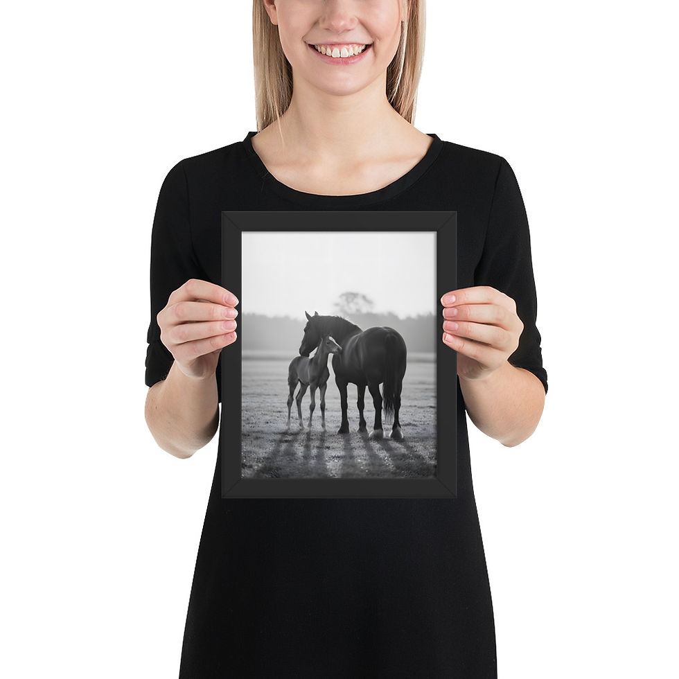 Thumbnail: Monochrome Horse and Foal Animal Art Print