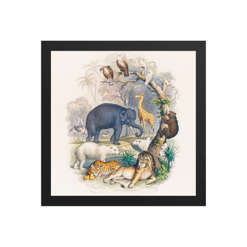 Thumbnail: Framed Wildlife Art for Living Rooms