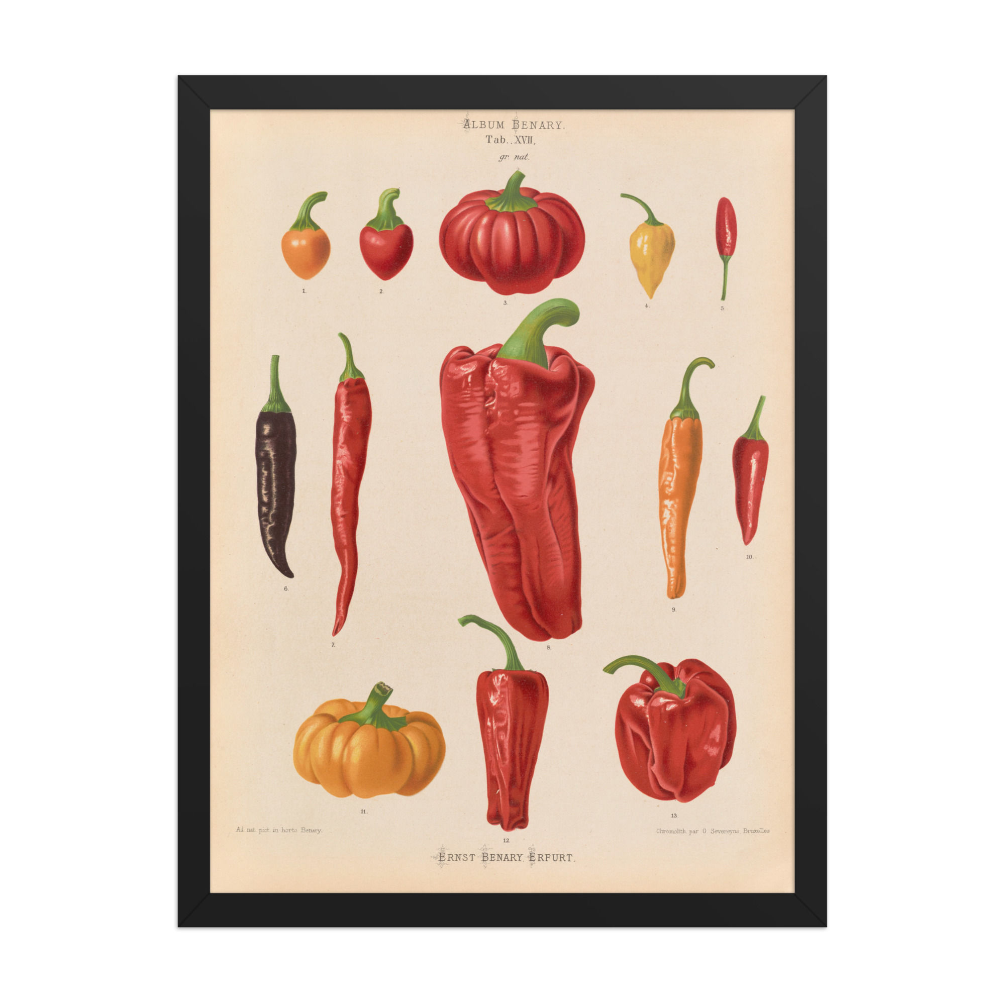 Chillies | Food and Drink Art Print
