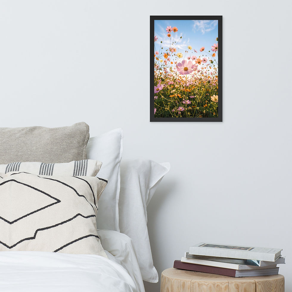 Thumbnail: Meadow Radiance — Cosmos Field at Golden Hour — Framed Print