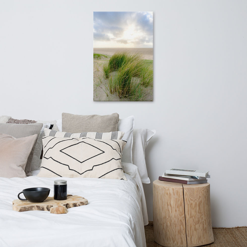 Thumbnail: Whitford Sands Dune Grass Canvas Print