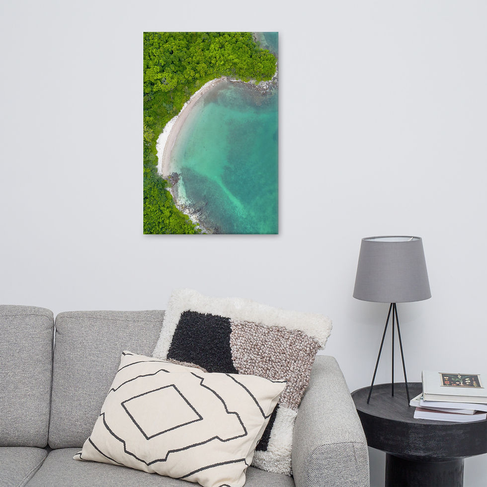 Thumbnail: Aerial Beach Canvas | Secluded Coastal Retreat Art | Ocean Photography