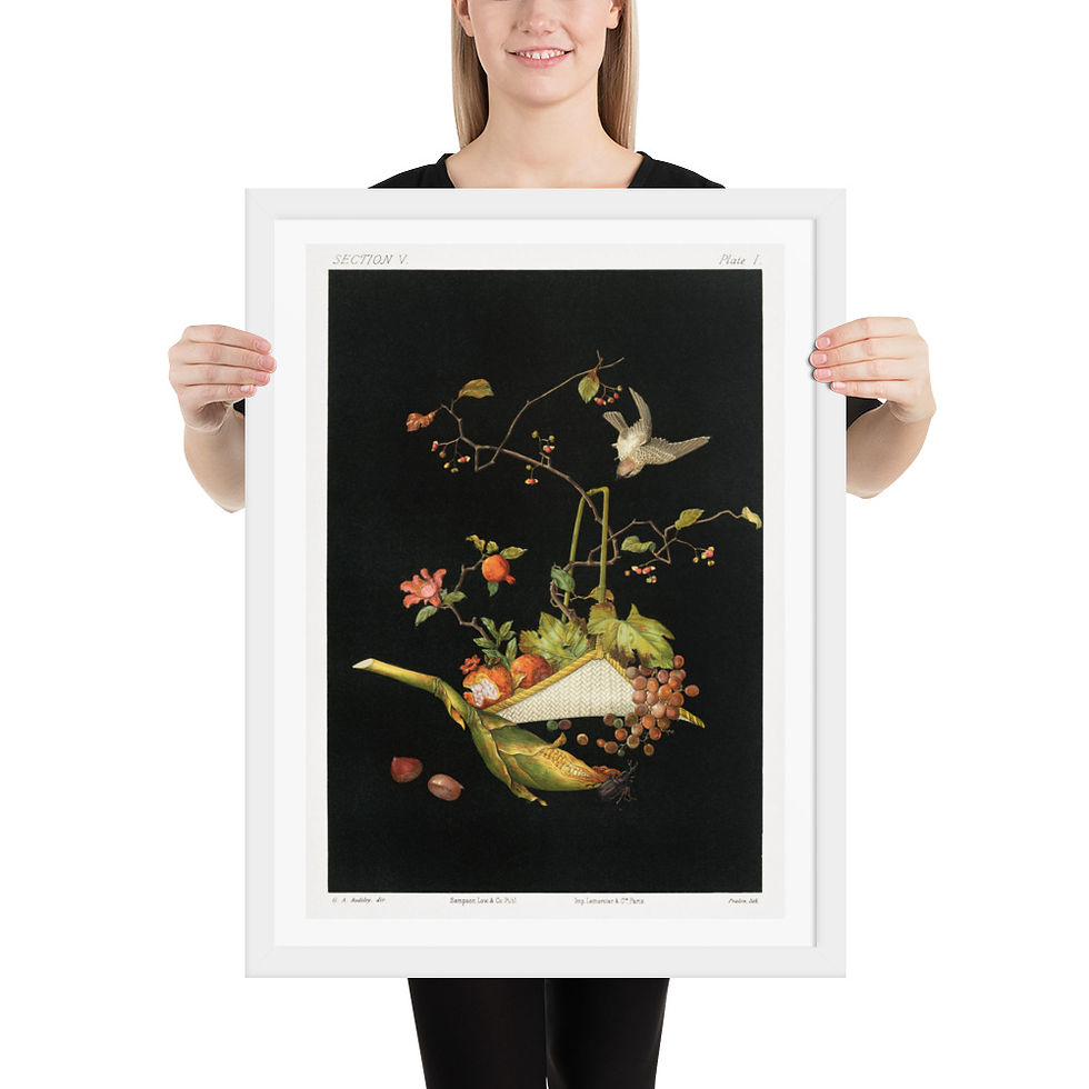 Thumbnail: Bird and Flowers - Framed Art  