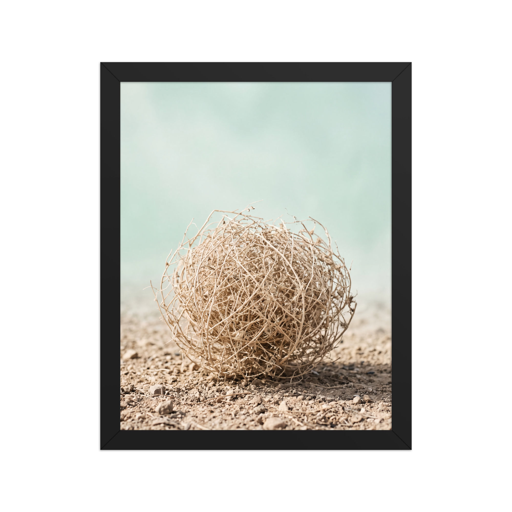 Desert Tumbleweed Photography: Rustic Southwestern Landscape Wall Art