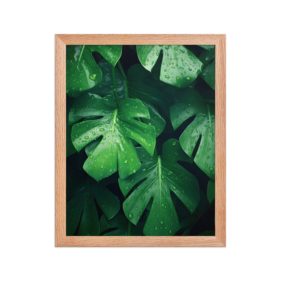 Thumbnail: Monstera
