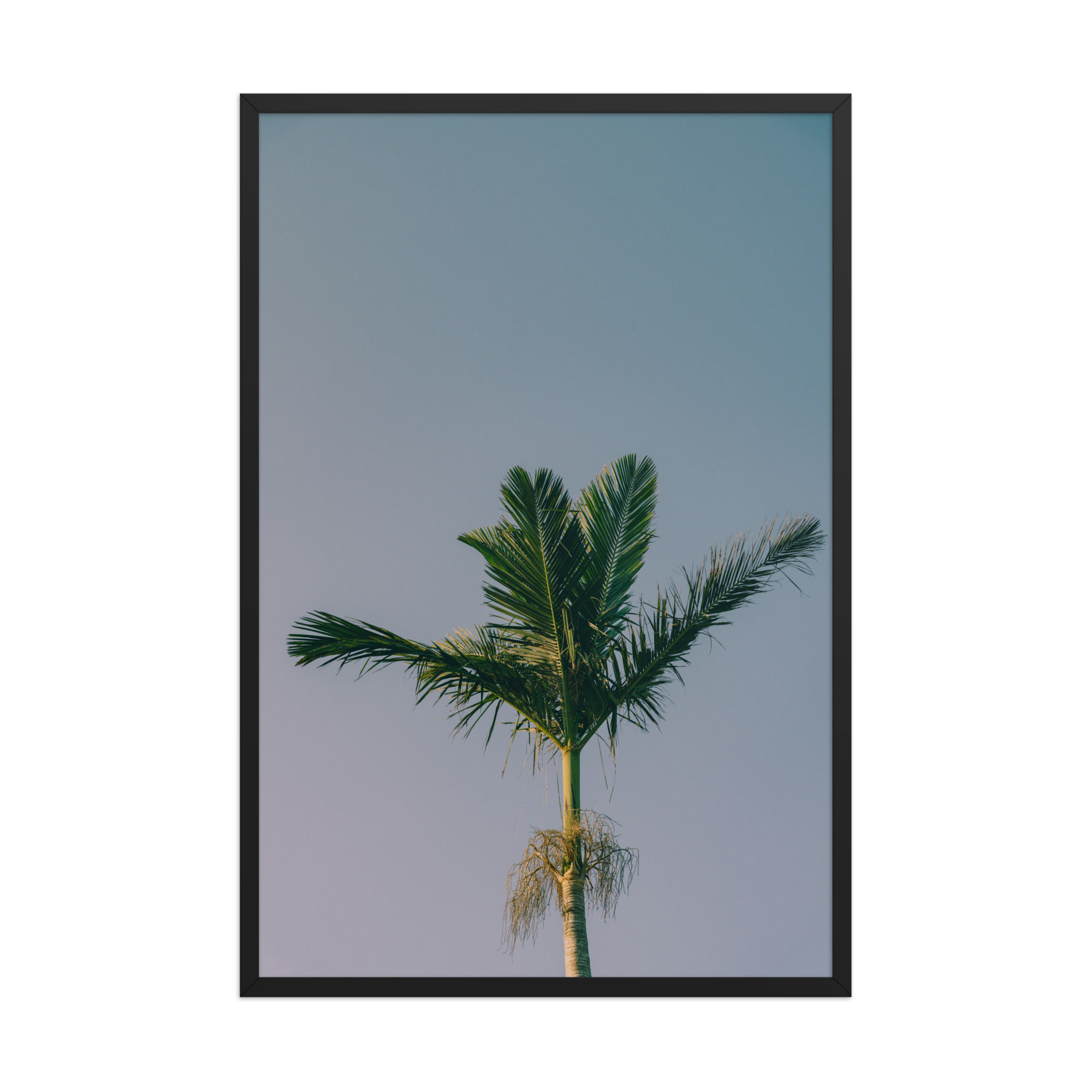 Summer | Photography Art Print