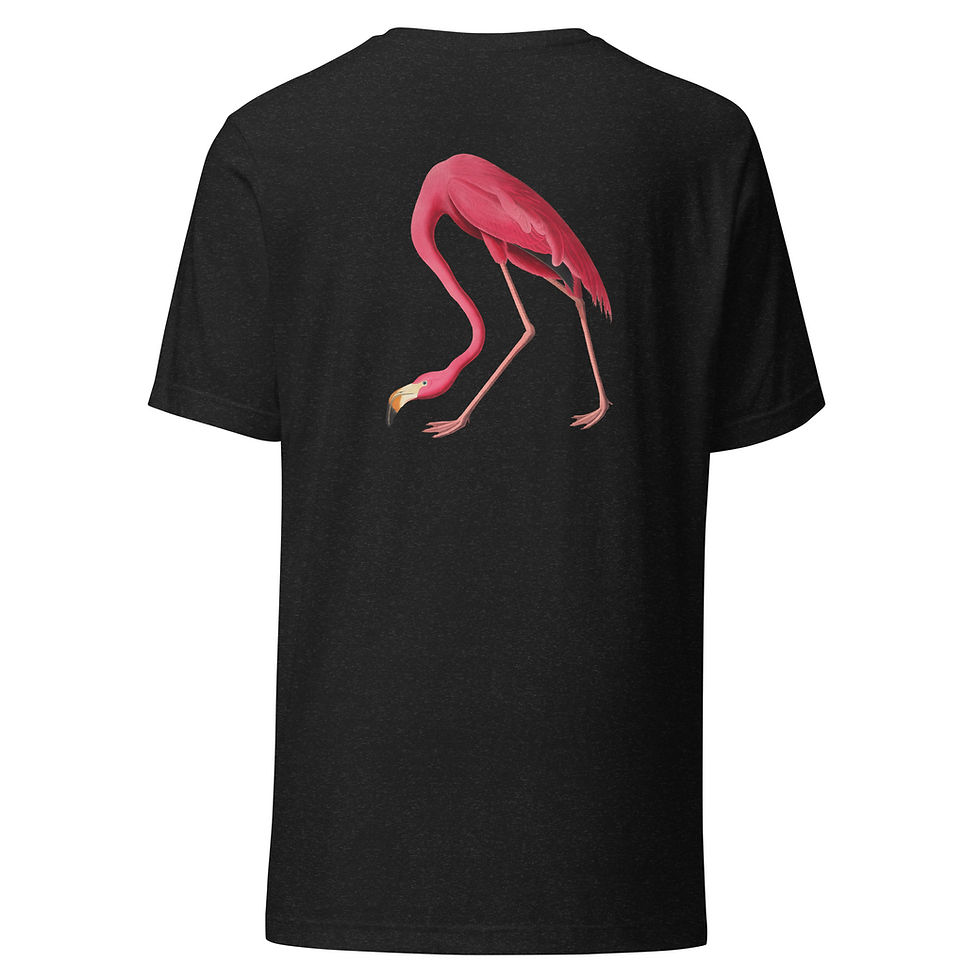 Thumbnail: Audubon Flamingo Unisex T-Shirt