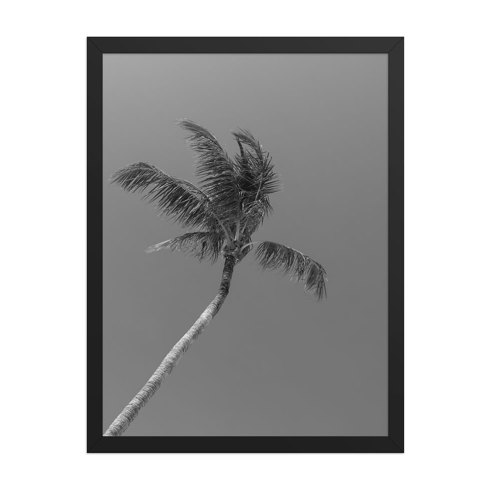 Thumbnail: BW Palm Art Print