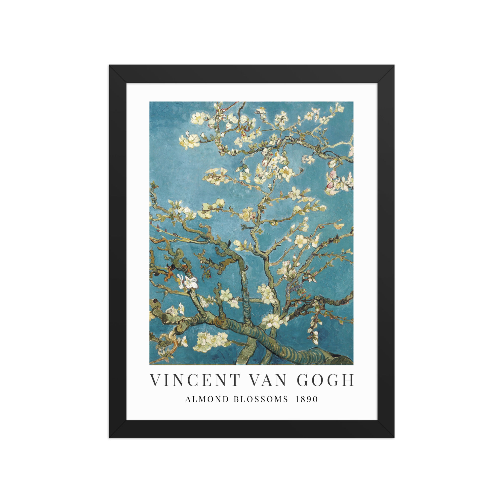 Vincent Van Gogh | Almond Blossoms