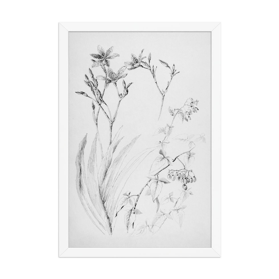 Thumbnail: Minimalist Plant Vintage Style Art Print