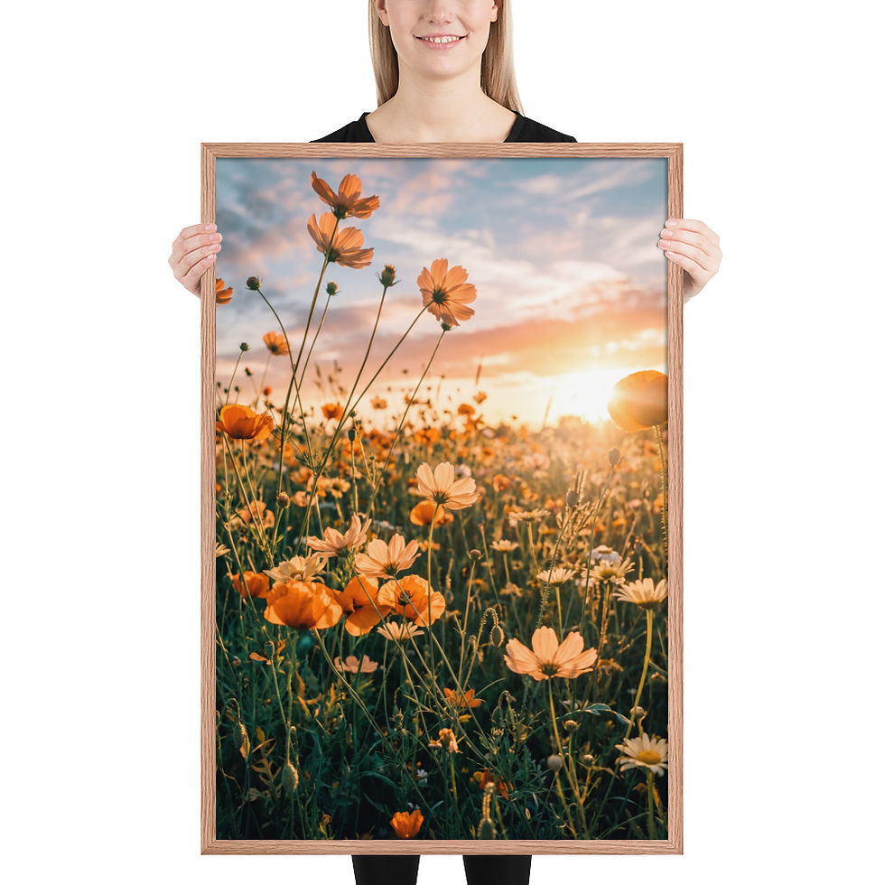 Thumbnail: Meadow Sunset — Wildflower Field at Golden Hour — Framed Print