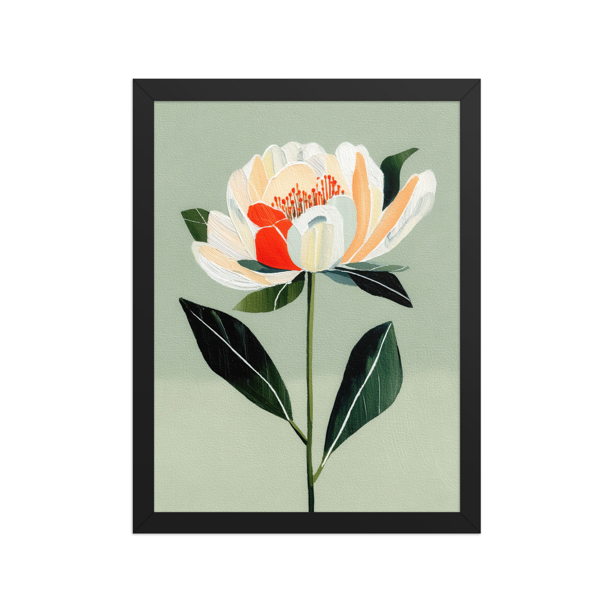 Beautiful Flower Head