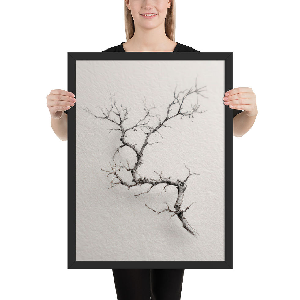 Thumbnail: Tranquil Nature Black and White Illustration - Framed