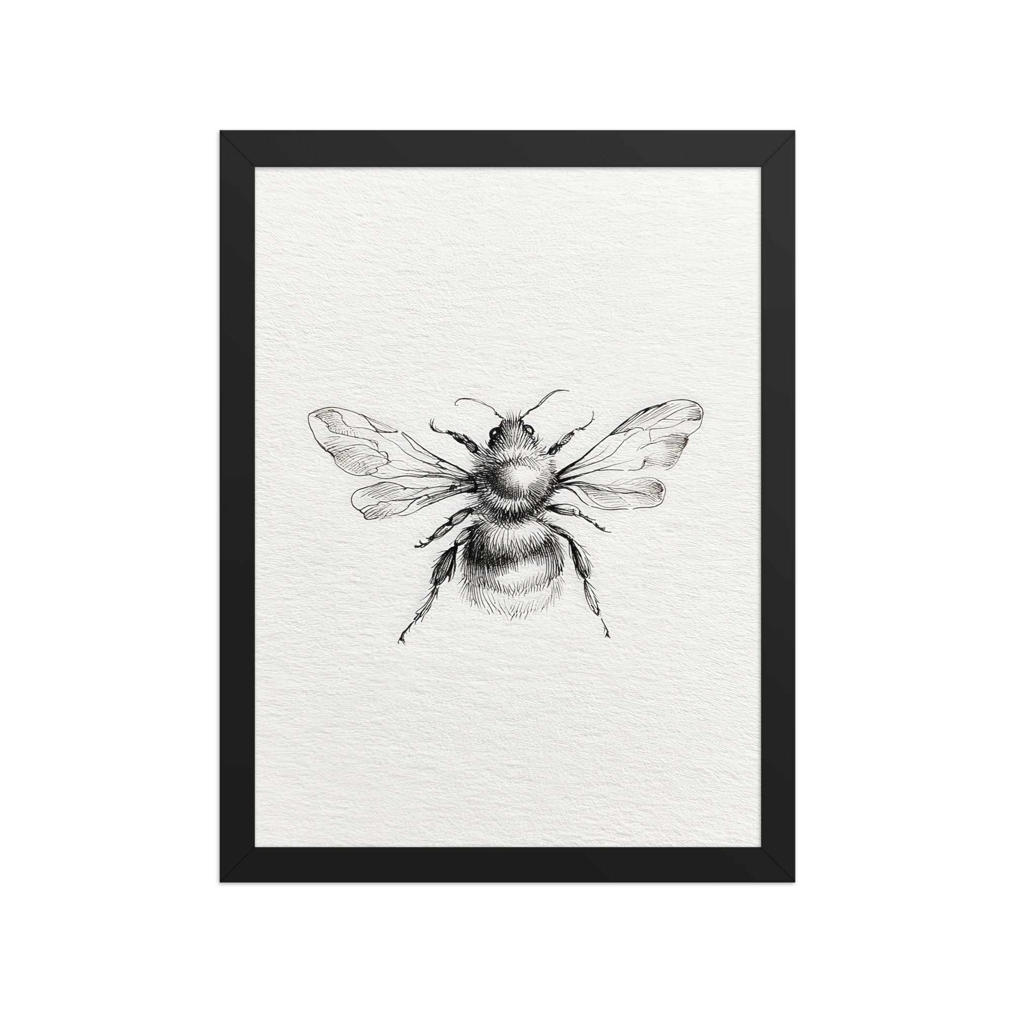 Tranquil Nature Black and White Illustration - Framed