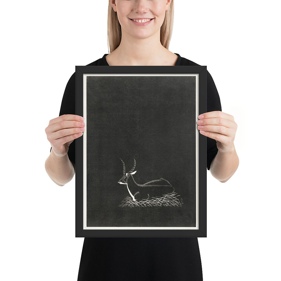 Thumbnail: Springbok in the Grasses Framed Nature Print