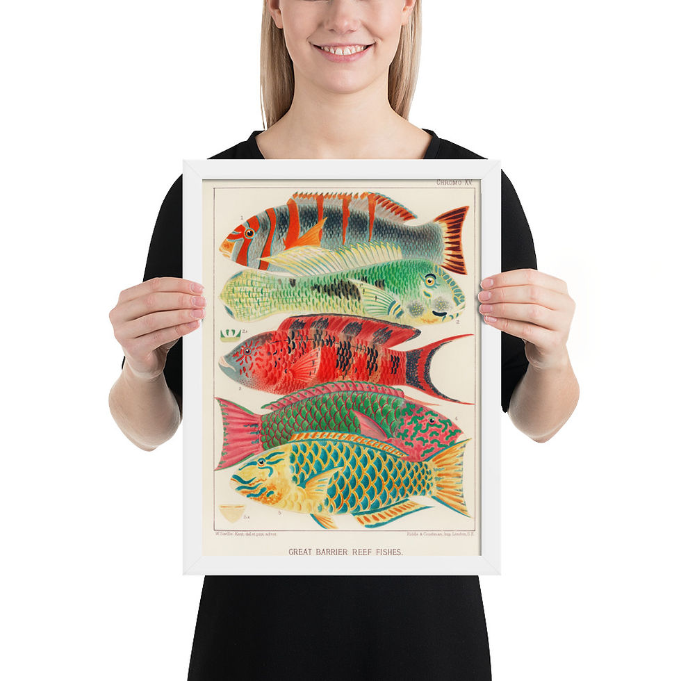 Thumbnail: Great Barrier Reef Fishes | William Saville-Kent