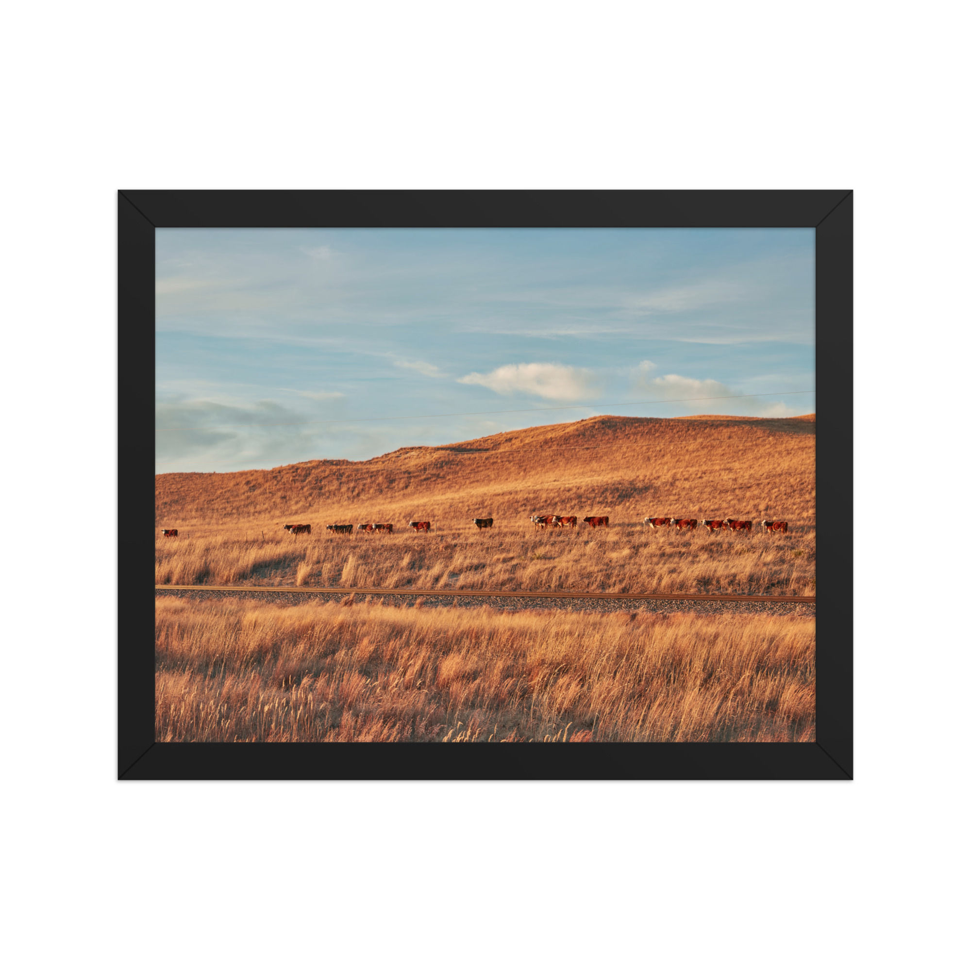 Pastoral Tranquility Wall Art: Golden Plains