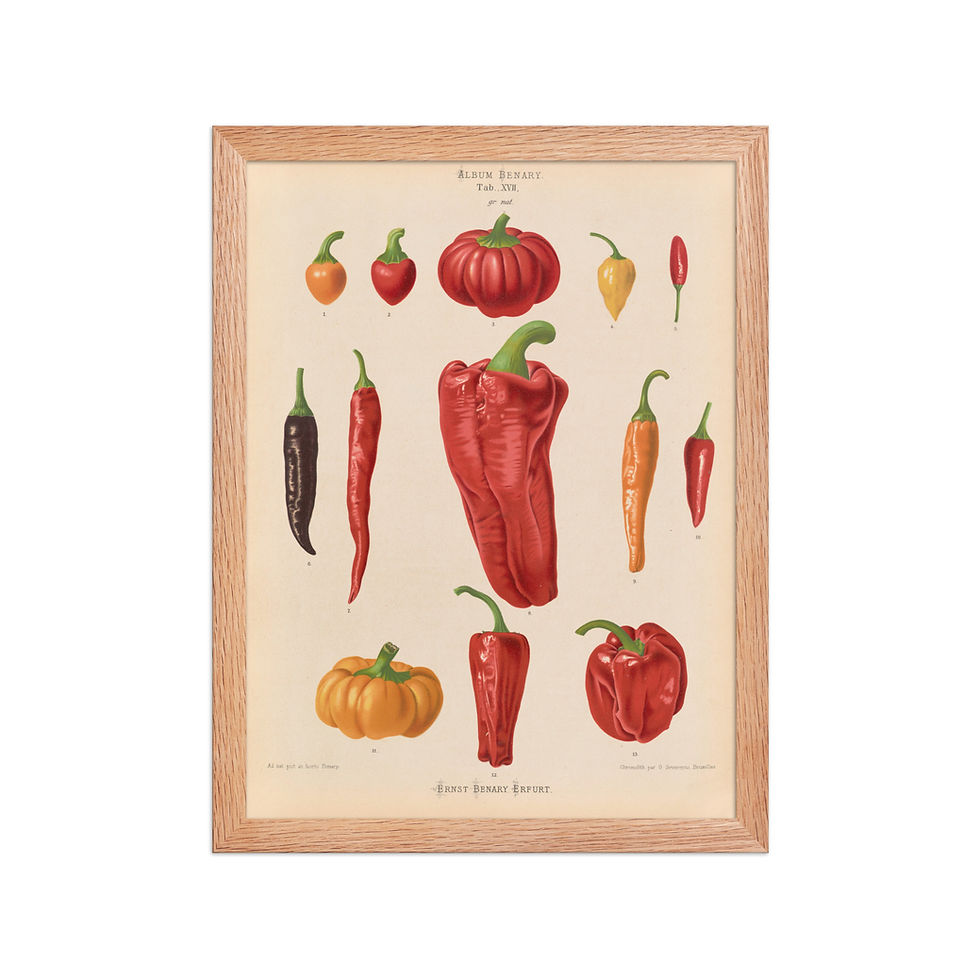 Thumbnail: Chillies | Food and Drink Art Print