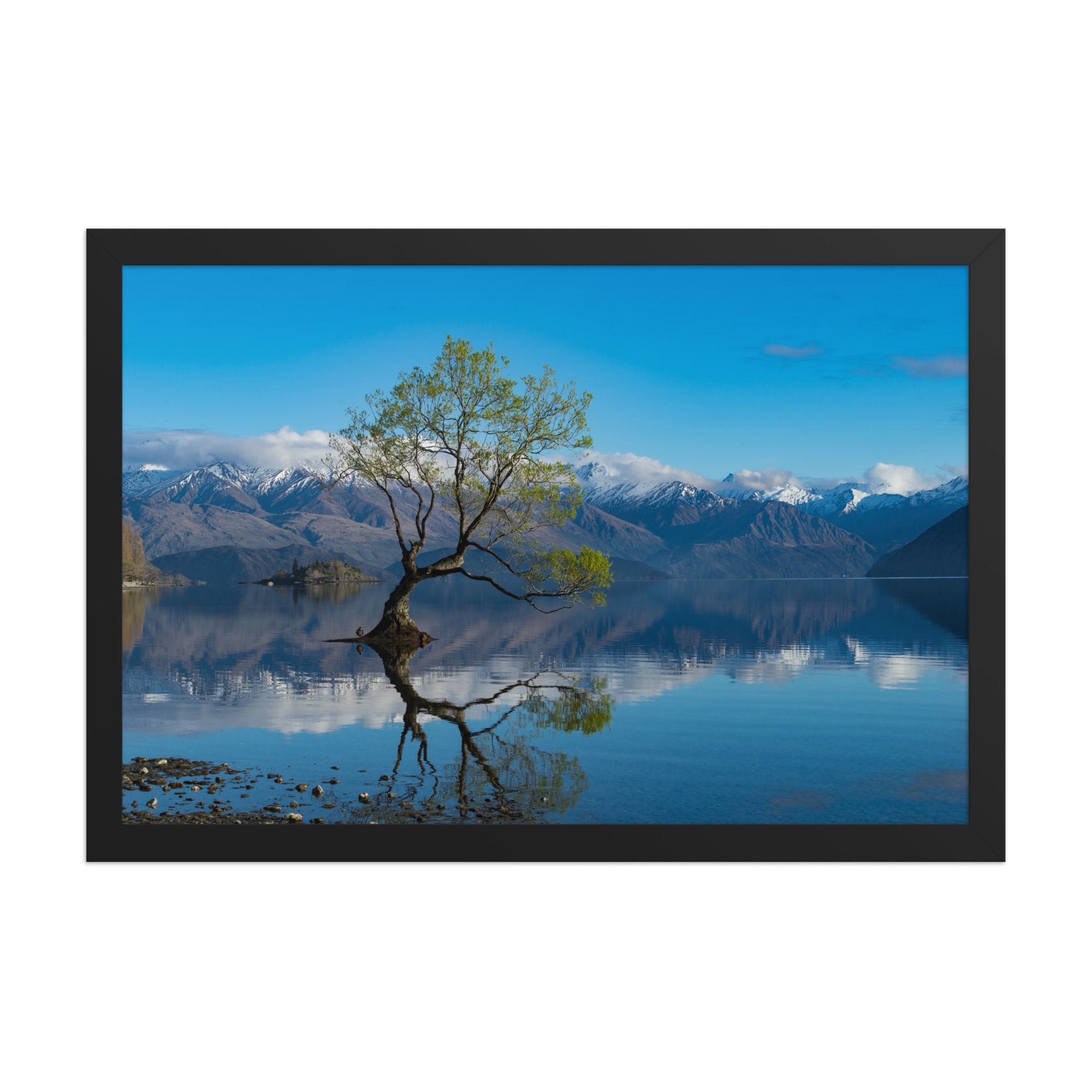That Wanaka Tree | Framed Landscape Photography Poster