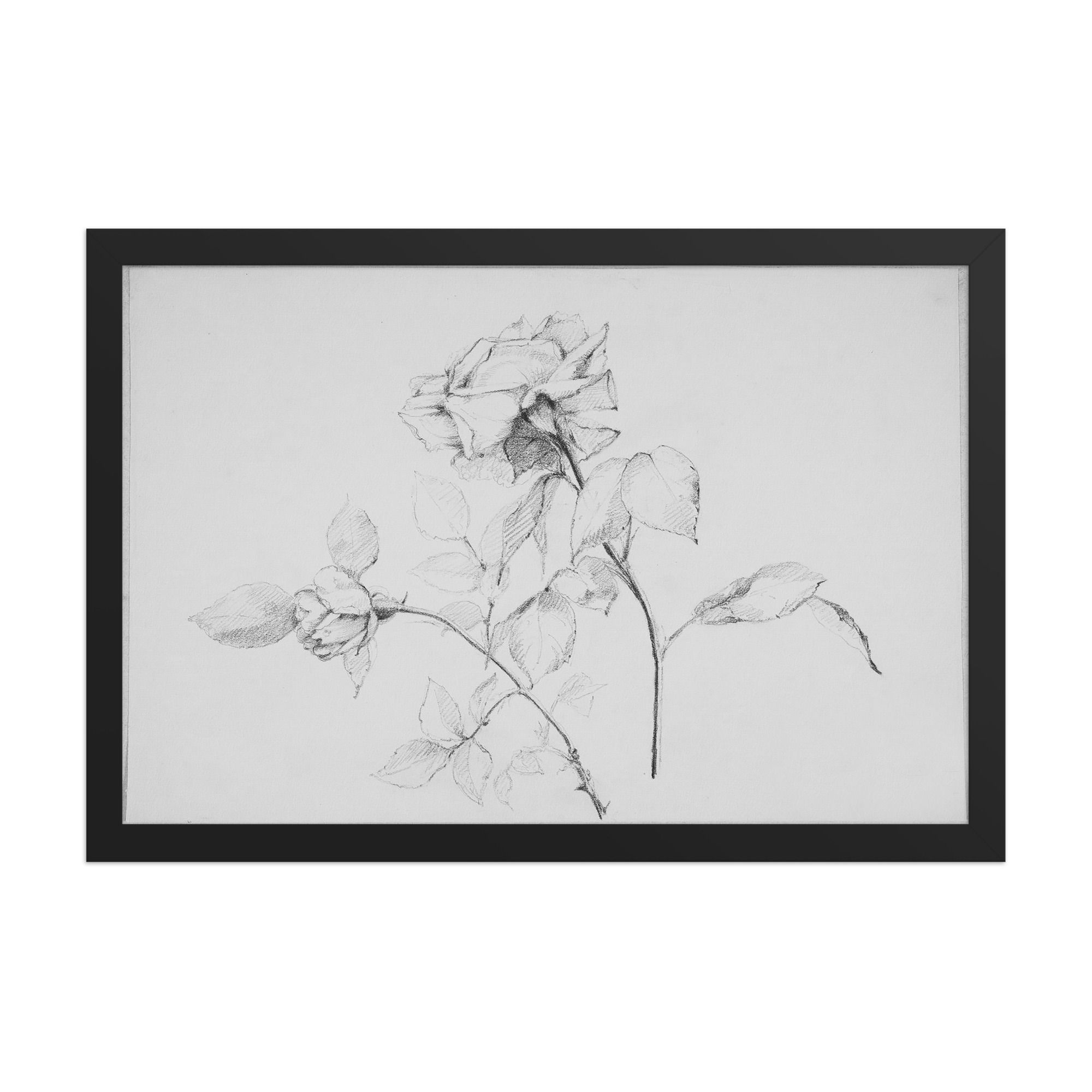 Vintage Flower Illustration Framed Art Print