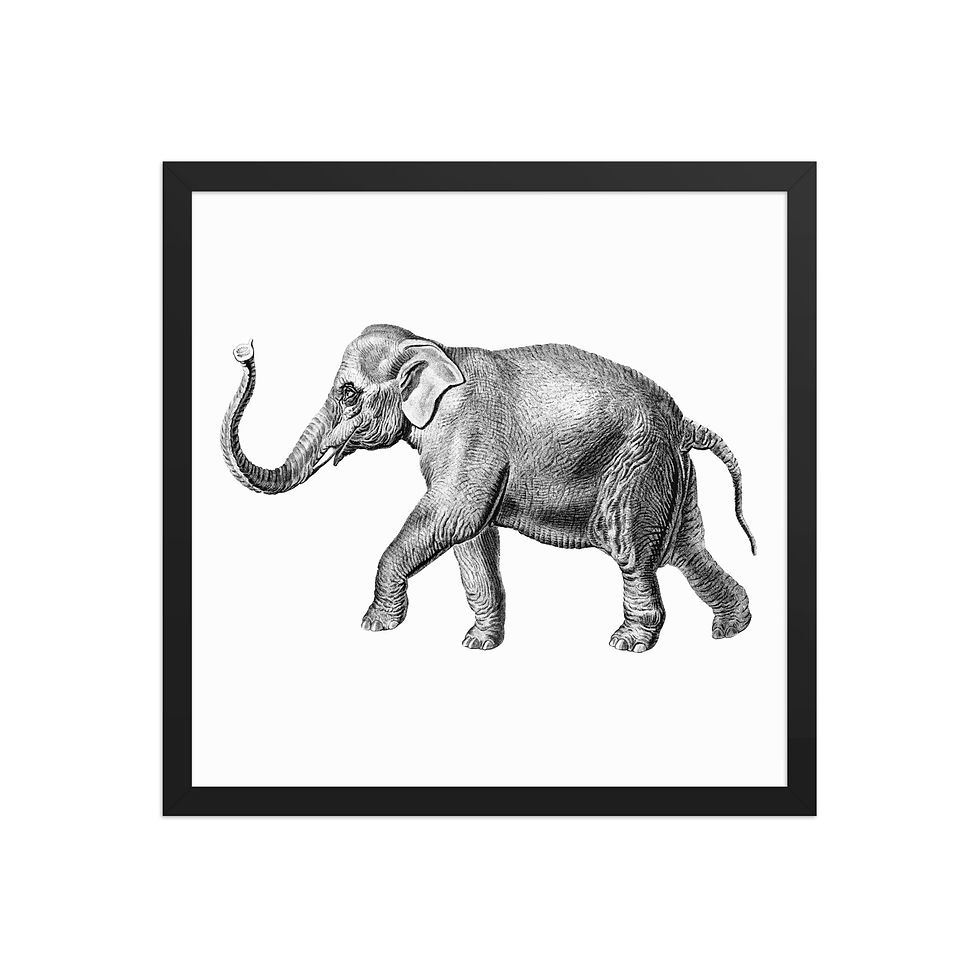 Thumbnail: Elephant | Framed Wildlife Art for Living Rooms