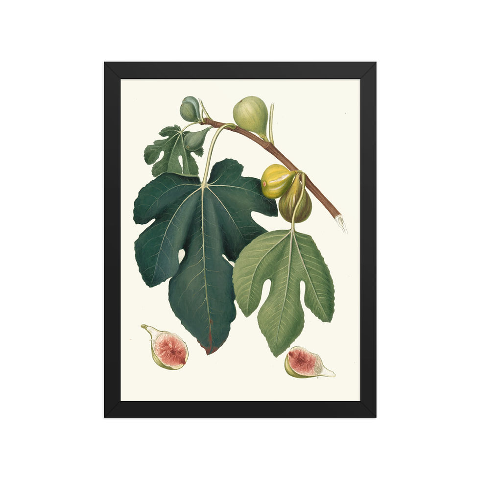 Thumbnail: Fico Pissaluto Framed Wall Art