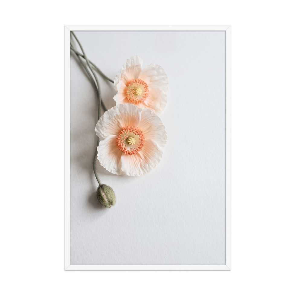 Thumbnail: Soft Blush Poppy Botanical Print Framed Wall Art