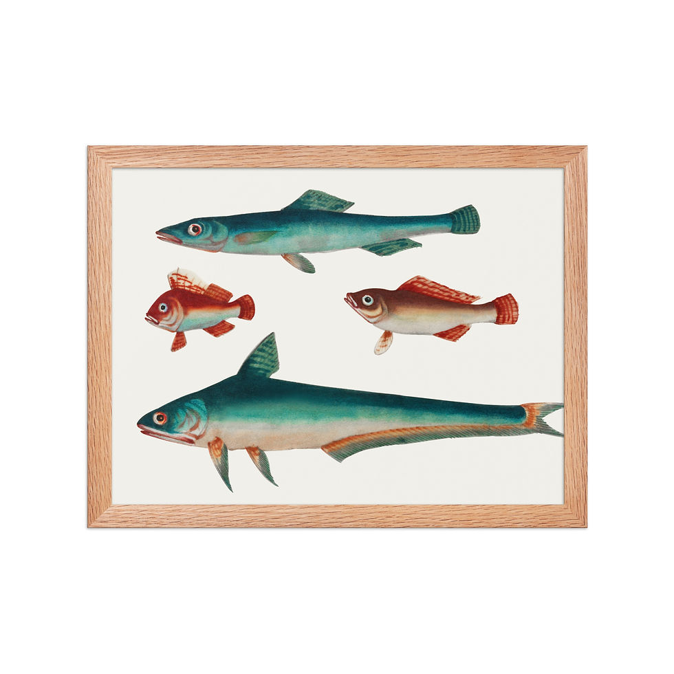 Thumbnail: Framed poster of four colorful fish, two blue-green and two red-brown, on thick matte paper with a matte black wooden frame.