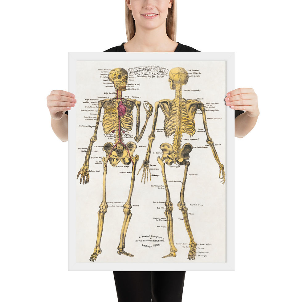 Thumbnail: Vintage Anatomical Chart Framed Art