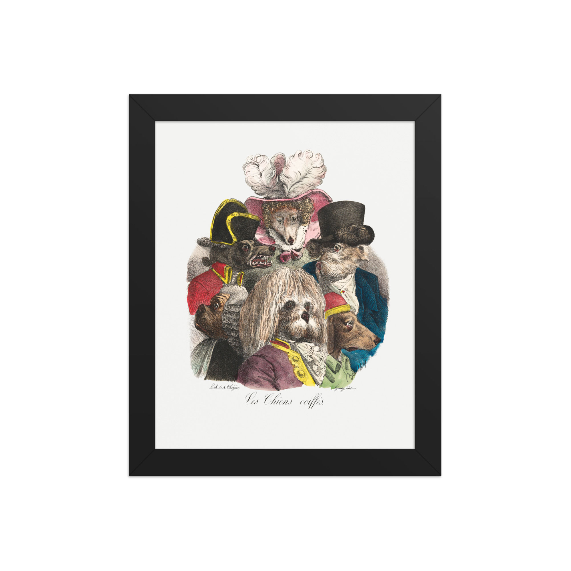 The Hair-Dressed Dogs | Suit de Grimaces 