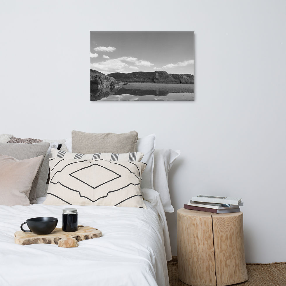 Thumbnail: Silver Coast Reflection — Monochrome Seaside Canvas