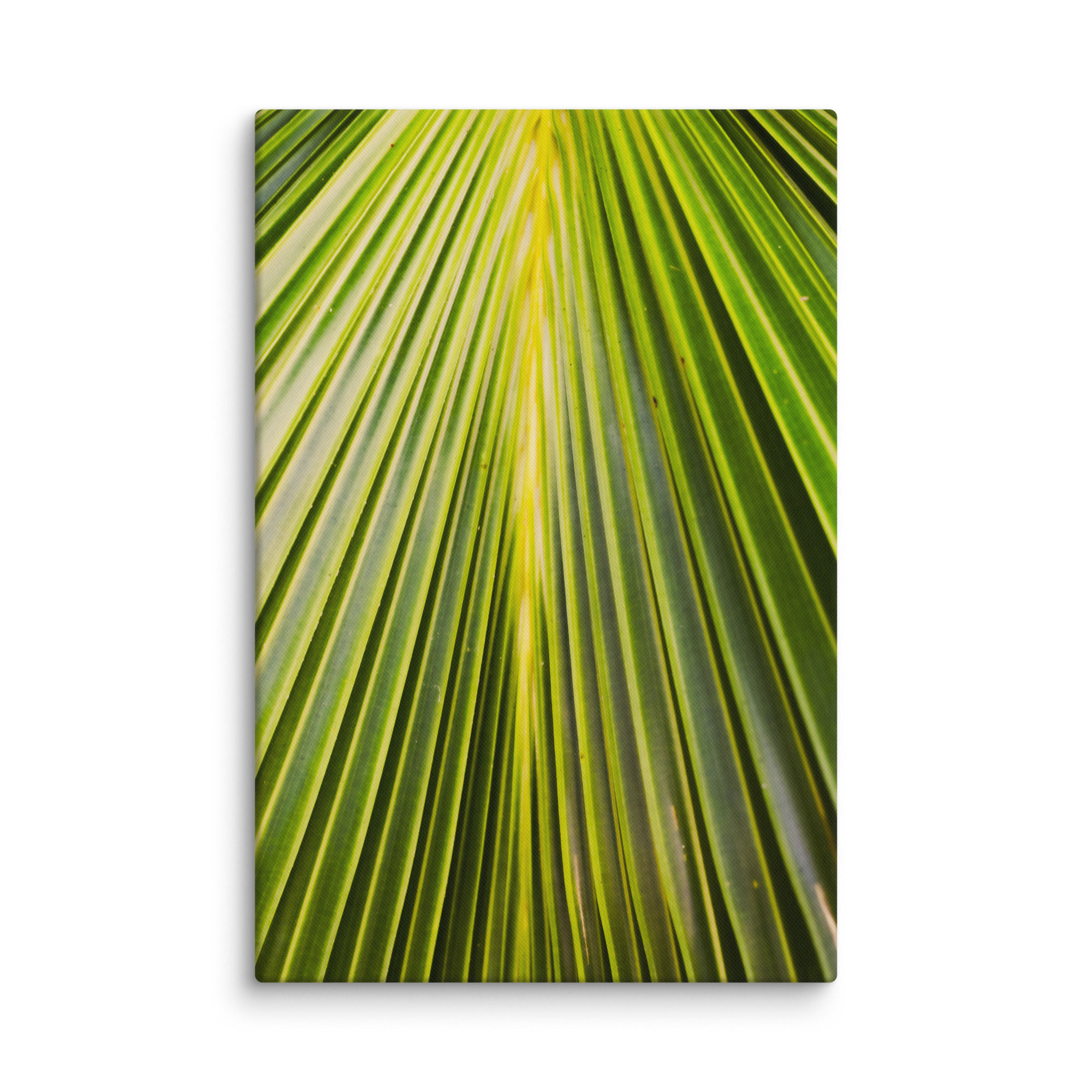 Palm Leaf | Tropical Close-Up | Canvas Print