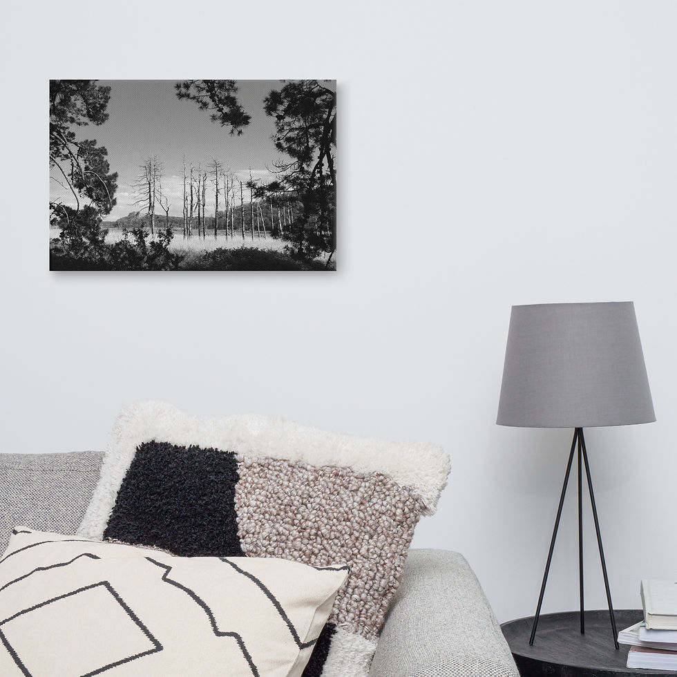 Thumbnail: Bare Trees Canvas | Monochrome Forest Wall Art | Landscape Canvas