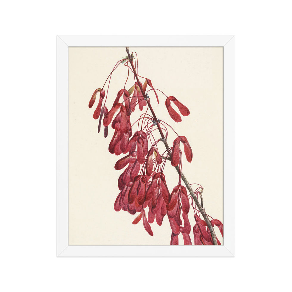 Thumbnail: Carolina Maple Botanical Framed Wall Art