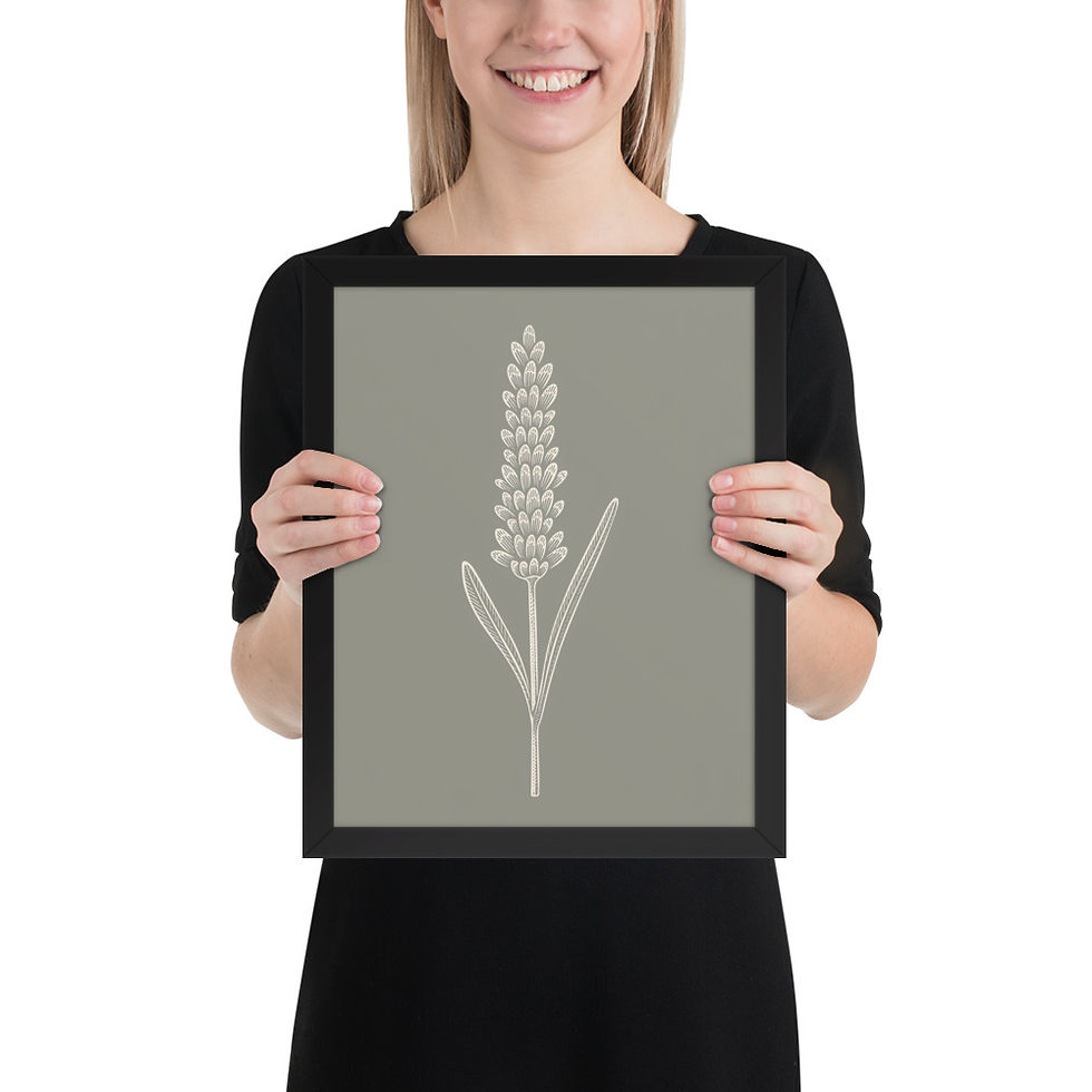 Thumbnail: Minimalist Lavender Stalk Botanical Art Print
