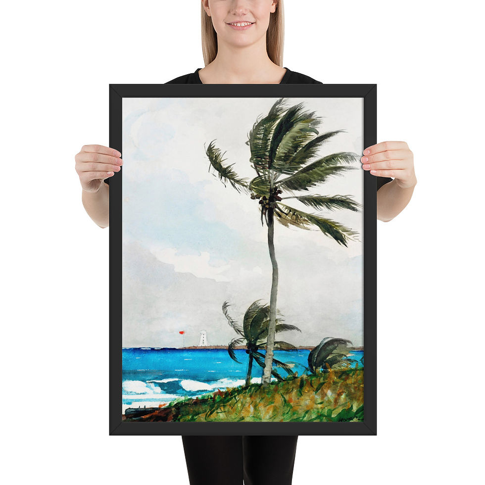 Thumbnail: Palm Tree, Nassau | Winslow Homer