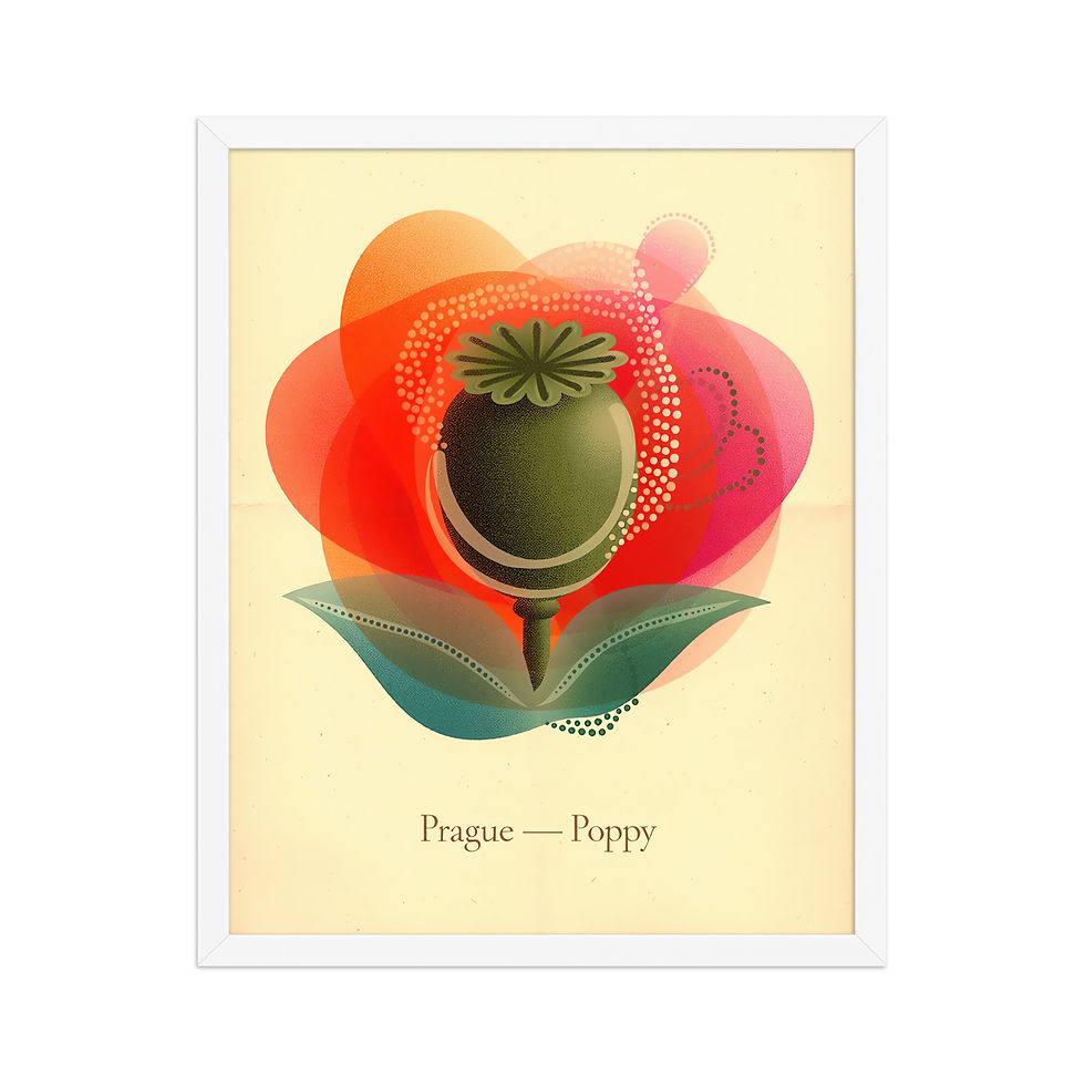 Thumbnail: Prague Poppy European Botanical Art Print