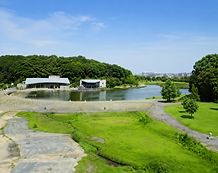 自然豊かな21世紀の森と広場